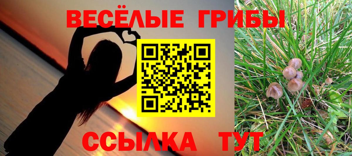 Галлюциногенные грибы ЛСД Ярцево