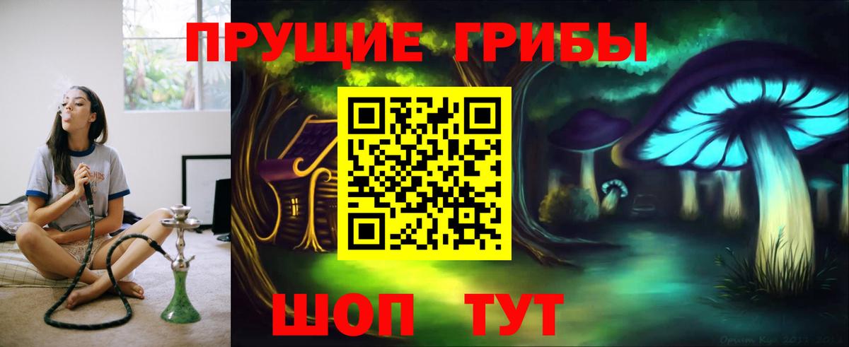 Псилоцибиновые грибы мицелий  Псилоцибиновые грибы Psilocybine cubensis  Ярцево  Вход с VPN 